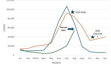 An interesting year for flu in Australia
