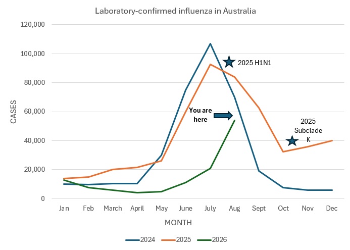 An interesting year for flu in Australia