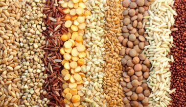 Childhood plant-based diet quality and cardiometabolic health, metabolite profiles, and dietary costs: A population-based cohort study. Image Credit: Nopparat Promtha / Shutterstock