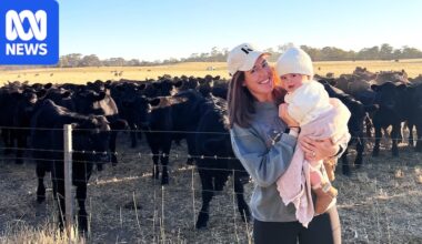 Farmers warm to renewables but concerns over large-scale land impacts remain