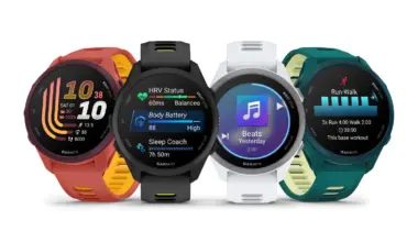 Garmin