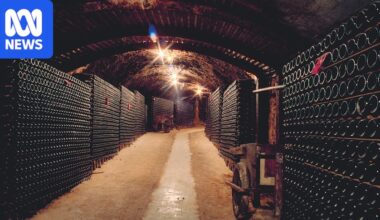 Seppelt Wines sold to Stonier in Treasury Wine Estates sell-off