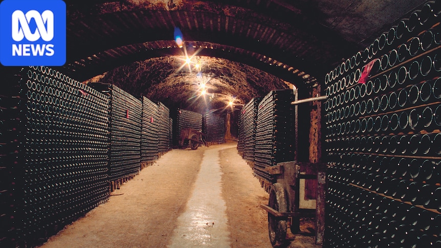 Seppelt Wines sold to Stonier in Treasury Wine Estates sell-off