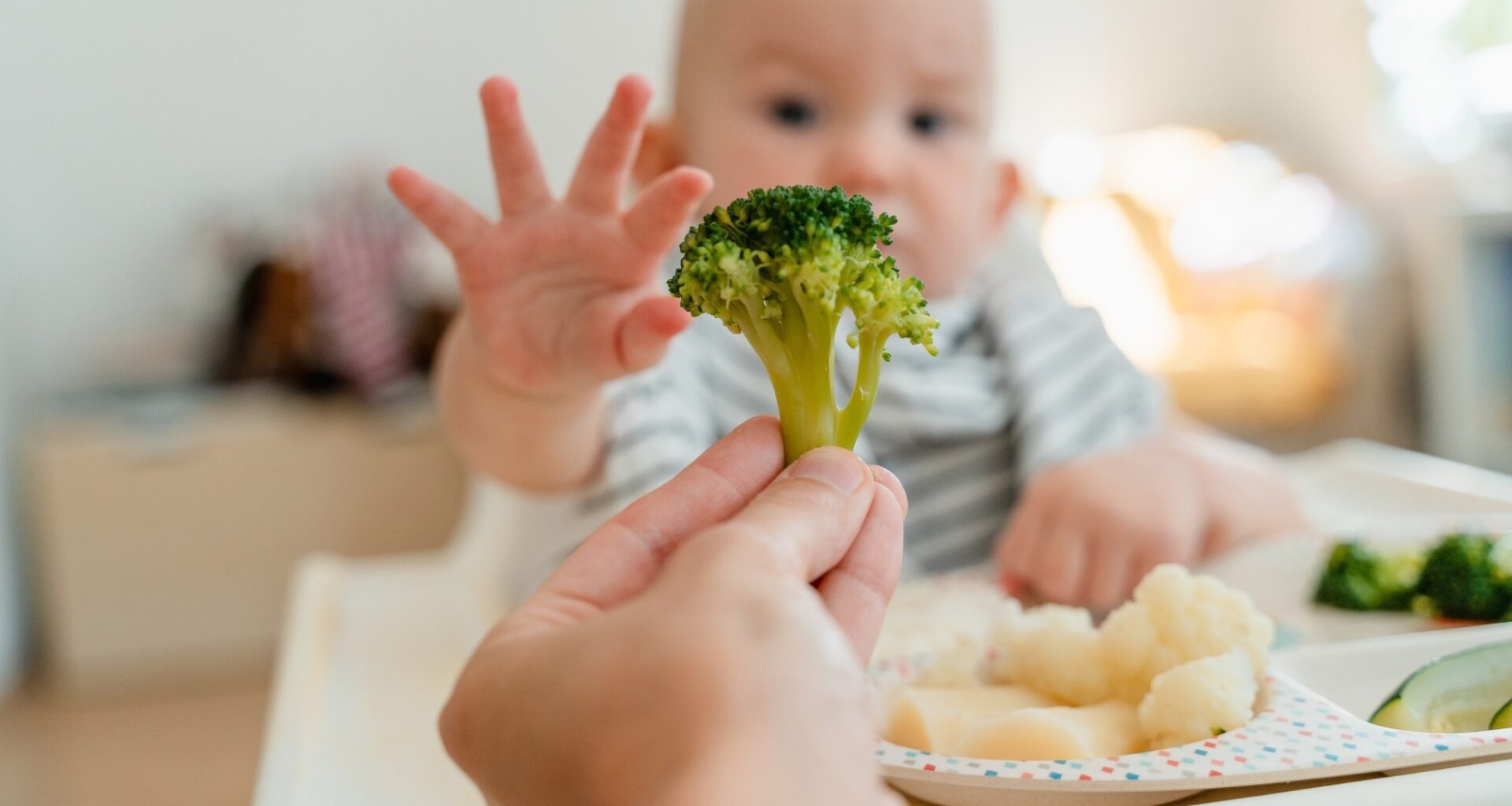 First foods bring an early functional shift in the infant gut microbiome