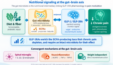 Review: GLP-1 Receptor Agonists, Gut Microbiota, and Chronic Pain: Nutritional Signaling at the Gut–Brain Axis