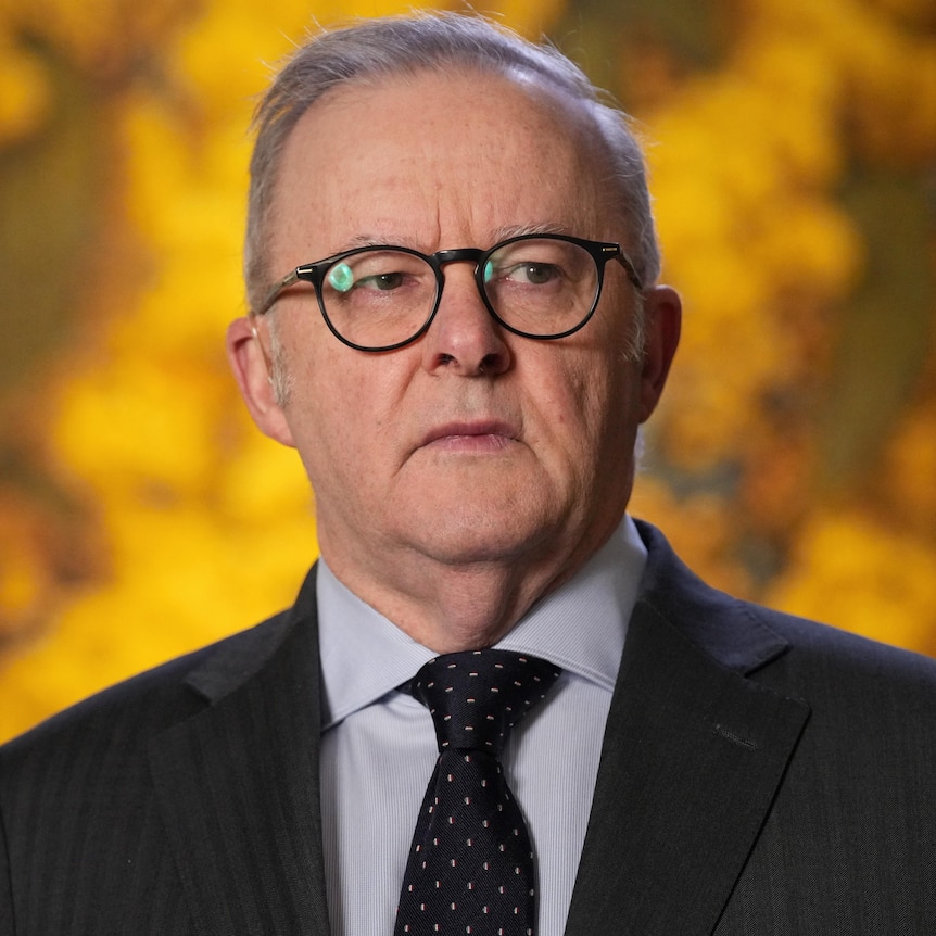 A man in glasses, a suit and tie in front of a painting of blossoming yellow wattle.