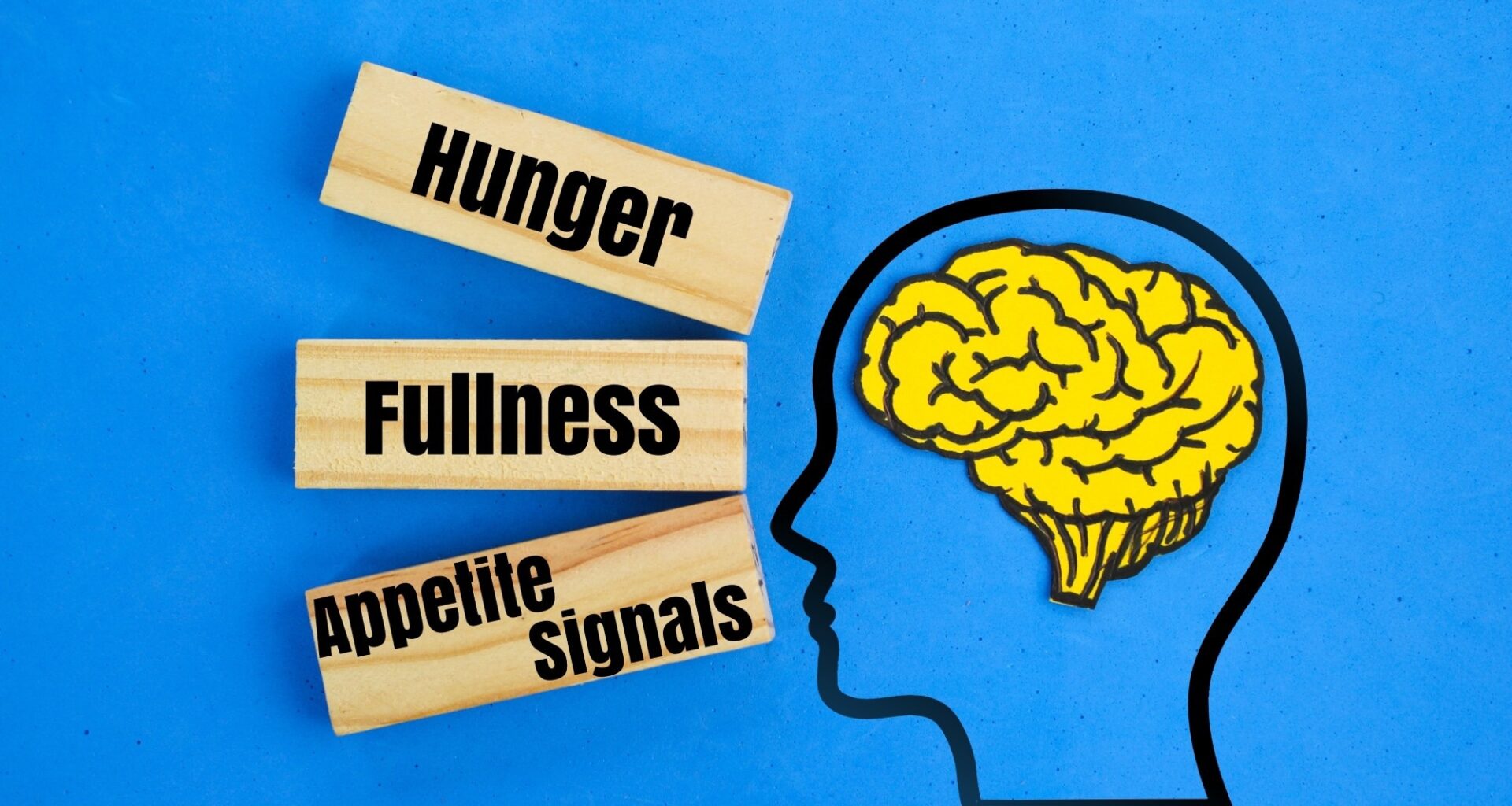 Study: Associations between intuitive eating and health behaviors and physical health in U.S. adults. Image Credit: MAFPHOTOART8 / Shutterstock