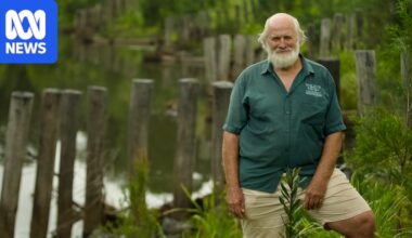 Mary River proves Australia's most degraded catchments can be restored