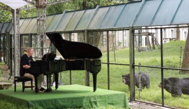 Rockstar Rick Wakeman Performs A Private Concert For 150 Moon Bears Rescued From Bile Farms