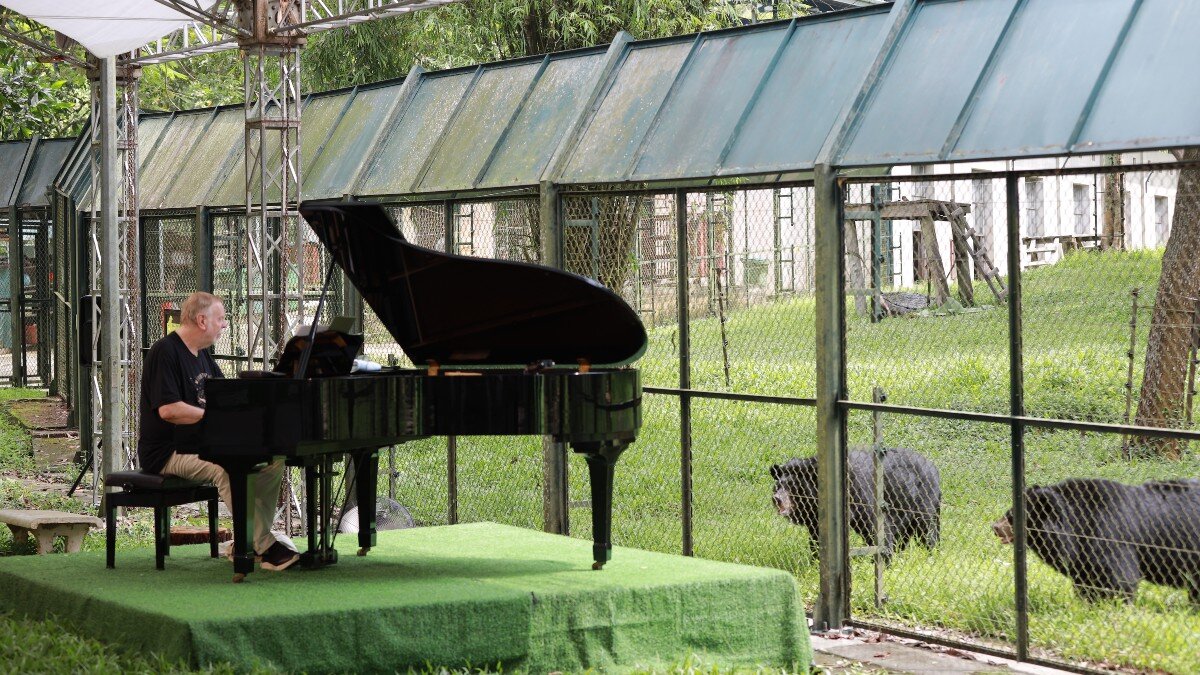 Rockstar Rick Wakeman Performs A Private Concert For 150 Moon Bears Rescued From Bile Farms