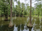 vivo X500 Pro Max ultrawide camera samples - 15mm, f/2.0, ISO 127, 1/100s (4096x3072px) - vivo X500 Pro Max camera samples