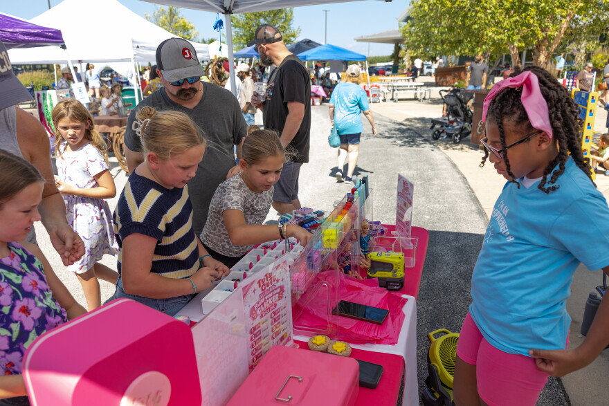 Carlie Payne, 10, of St. Louis, waits as customers browse items from her shop, Tutu Cute, during the Kids Markets at Eckert’s on Saturday, Sept. 12, 2026, in Belleville.