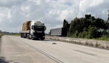 Biologist Sees Truck Narrowly Miss Wild Animal In Road — Then Rushes To Help