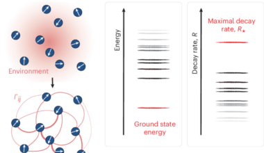 Universal scaling laws for correlated decay of many-body quantum systems