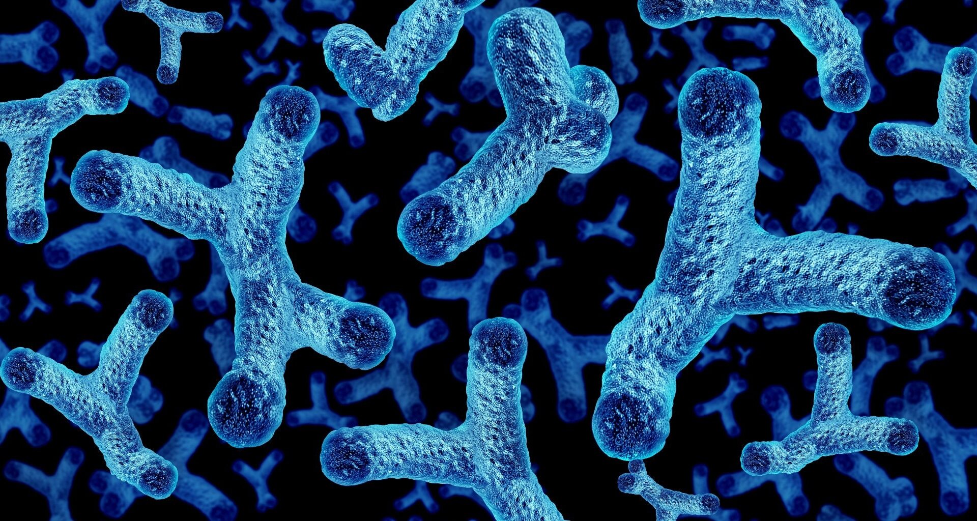 Study: Gut microbiome shifts in chronic systolic heart failure are associated with disease severity and clinical improvement. Image Credit: Lightspring  / Shutterstock