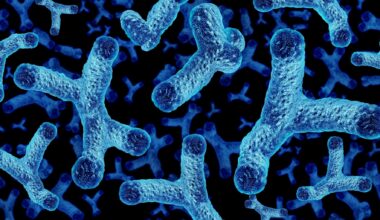 Study: Gut microbiome shifts in chronic systolic heart failure are associated with disease severity and clinical improvement. Image Credit: Lightspring  / Shutterstock