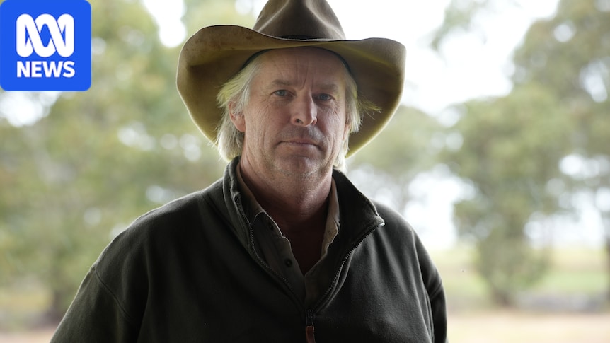 Farmers across WA's south tentatively welcome 'very, very wet 24 hours' after dry winter