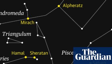 Starwatch: Tracking down the faint stars of Pisces | Astronomy