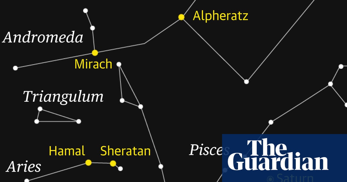 Starwatch: Tracking down the faint stars of Pisces | Astronomy