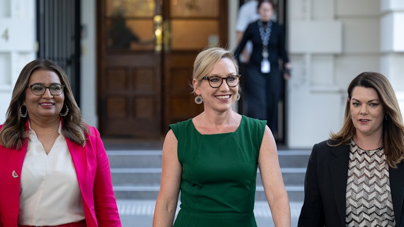 Larissa Waters fallout: Greens look for new leader as Waters forced to stand down due to illness