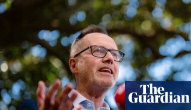 David Shoebridge wants the Greens to ‘seize this moment’. Is his more combative style the answer? | Australian Greens