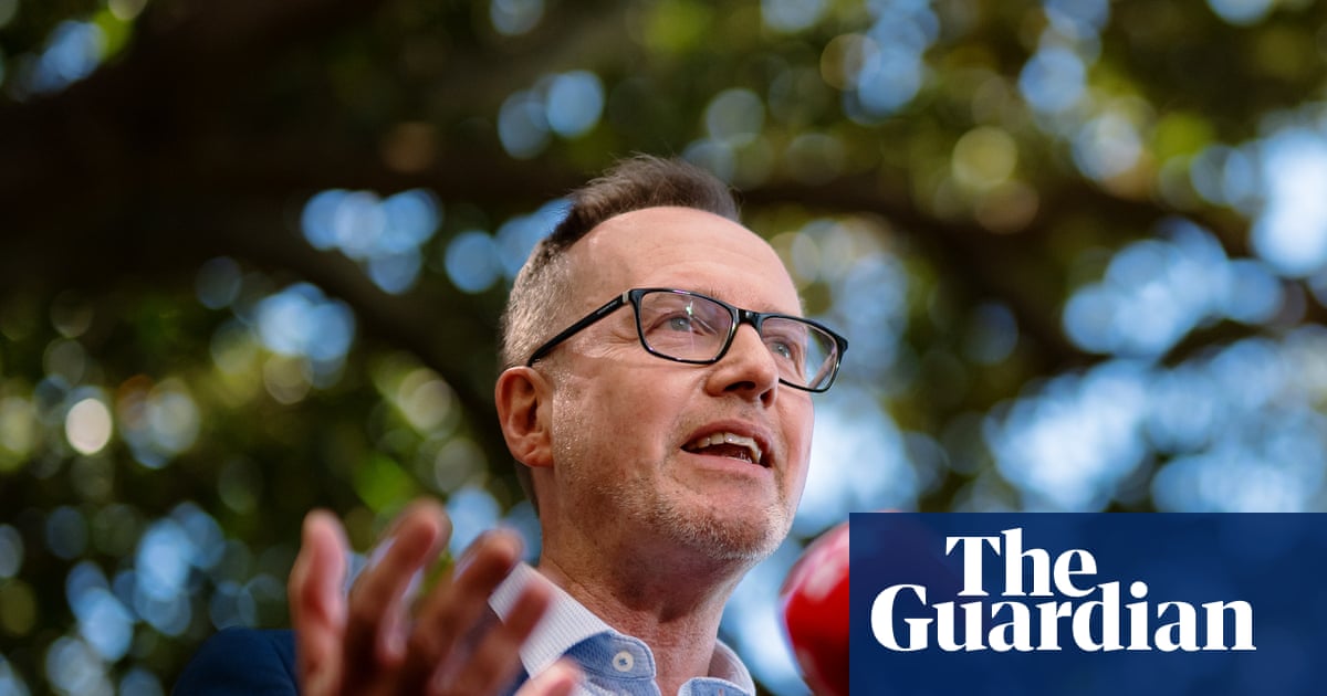 David Shoebridge wants the Greens to ‘seize this moment’. Is his more combative style the answer? | Australian Greens