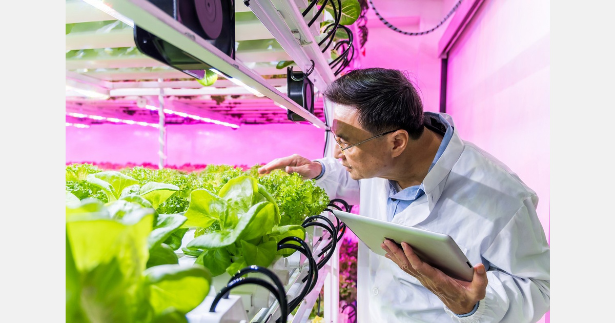 What scientists learned from growing crops in space
