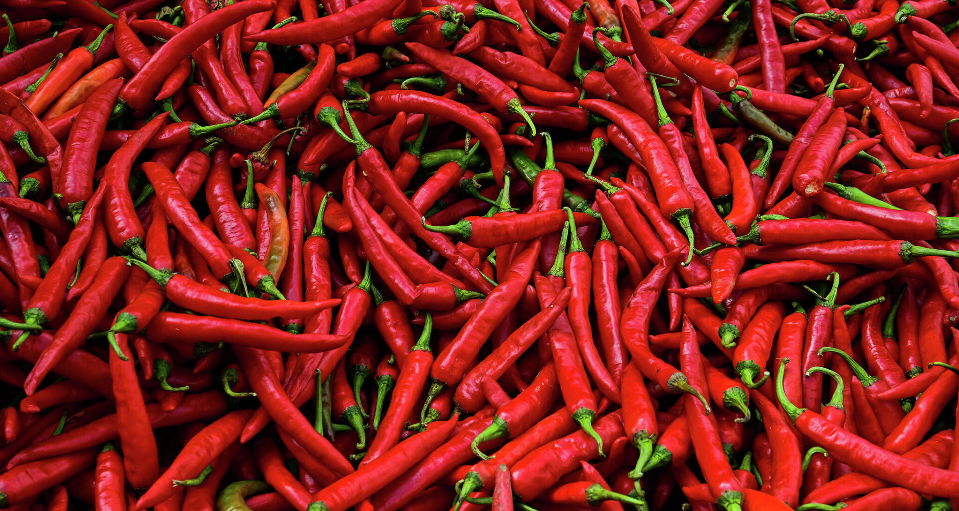Why do we love fiery foods if they hurt?