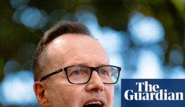 ‘I’m up for a red-hot fight’: polarising new Greens leader David Shoebridge is taking on the top ‘1%’ – and One Nation | Australian Greens