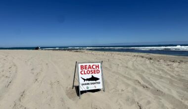 Glenfield Beach shark attack: Man rushed to hospital after shark attack at beach north of Geraldton