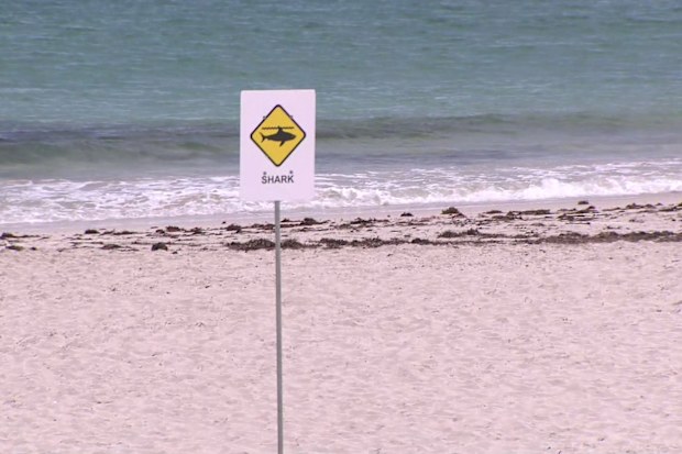 Authorities have ordered a shark be destroyed after it killed a man in an attack close to shore at a popular Perth beach.