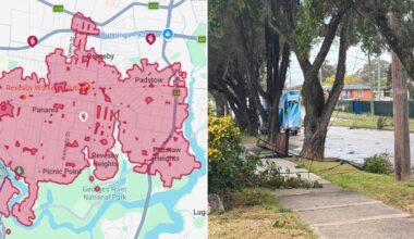 Thousands left in the dark as trees and powerlines come down across Sydney