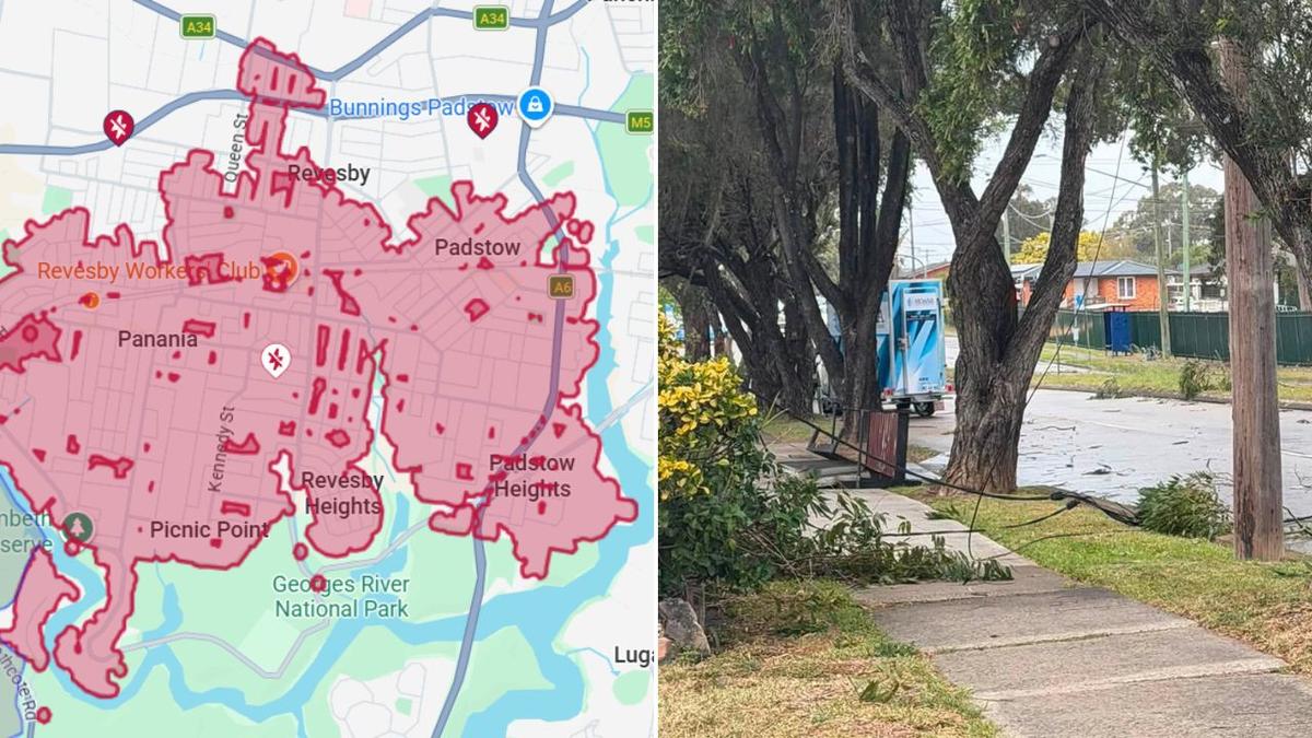Thousands left in the dark as trees and powerlines come down across Sydney