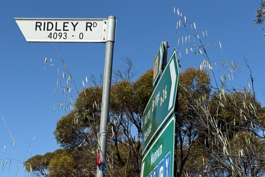 A street sign that says "Ridley Road".
