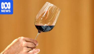 French wine output predicted to be lowest in 30 years after heatwaves and drought