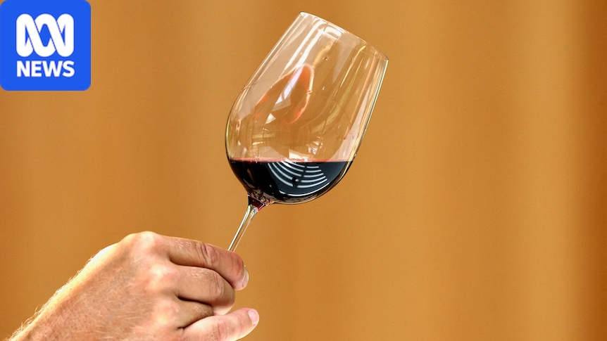 French wine output predicted to be lowest in 30 years after heatwaves and drought