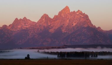 Environmentalists Call MLB Grand Teton Idea 'Shortsighted'
