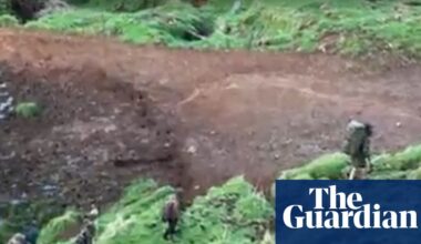 ‘Harrowing reading’: what the inquiry into NZ fugitive father Tom Phillips revealed | New Zealand