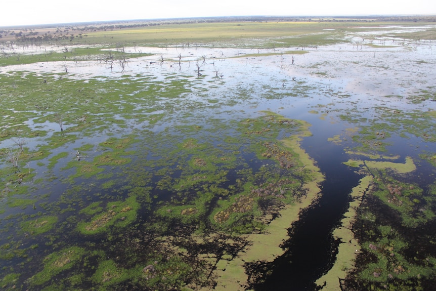 An aerial view of a green and blue waterway