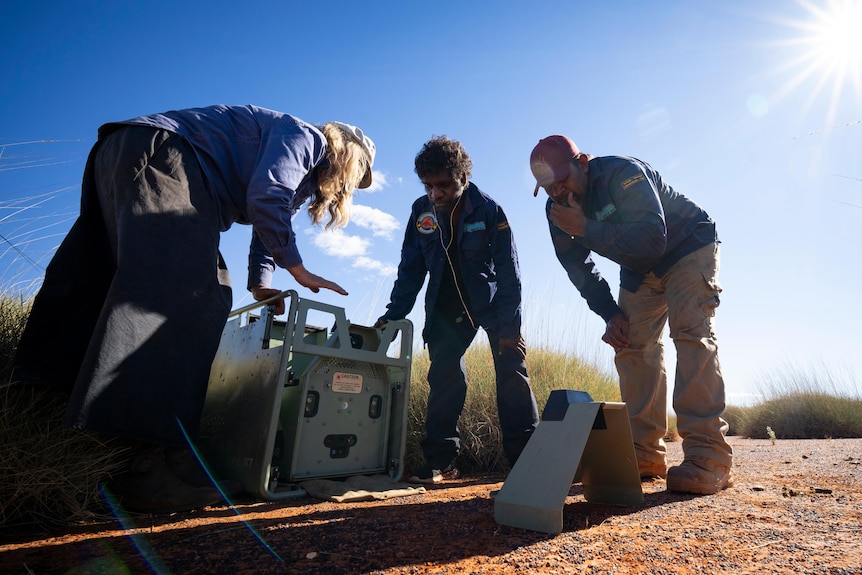 Three people crouched over a box-shaped device on a orange hard ground near low clumps of spinifex.