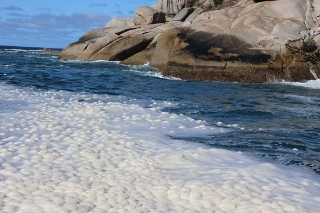 Lumpy foam floating on the sea adjacent to a rocky outcrop