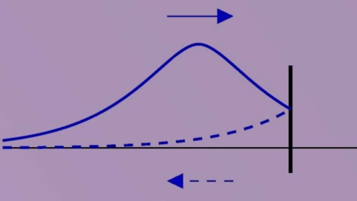 What can cutting a photon in half tell us about causality and local equivalence? – Physics World
