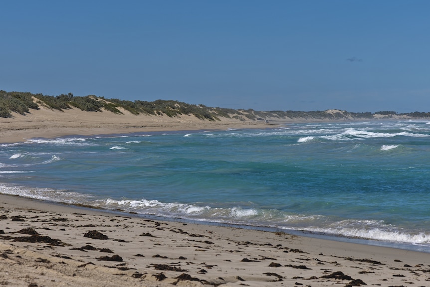 A beach with blue skies