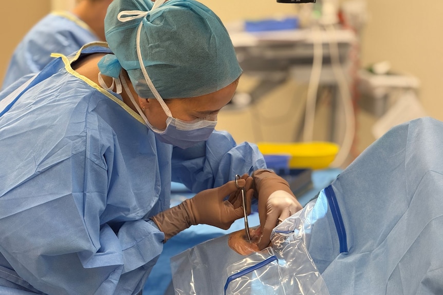 A woman wearing hospital scrubs, a mask and a hair cap cuts plastic near a patient's exposed eye.