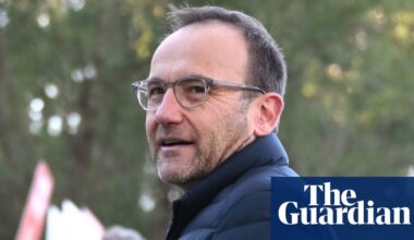 Senior Greens figures say new leadership must stop Labor approving fossil fuel projects ‘by whatever means’ | Australian Greens