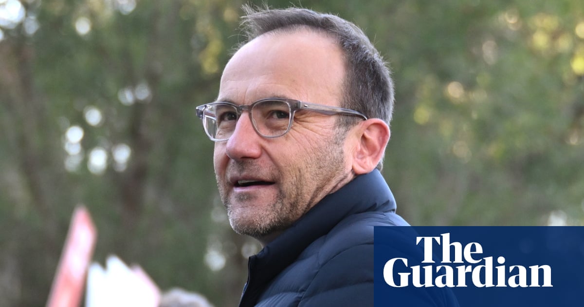 Senior Greens figures say new leadership must stop Labor approving fossil fuel projects ‘by whatever means’ | Australian Greens
