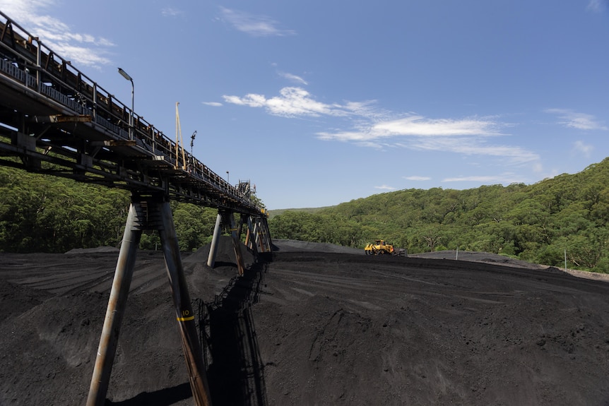 Open coal field with pipes and bulldozer operating in back ground.