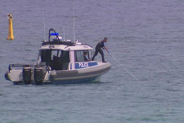 Authorities have ordered a shark be destroyed after it killed a man in an attack close to shore at a popular Perth beach.