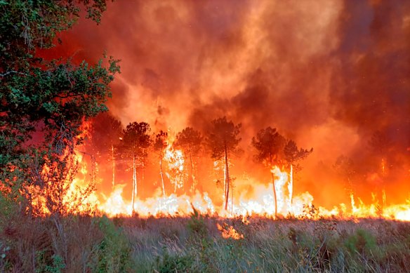 A wildfire near Landiras, in south-west France, forced the evacuation of 10,000 people and ravaged more than 7000 hectares in July. 