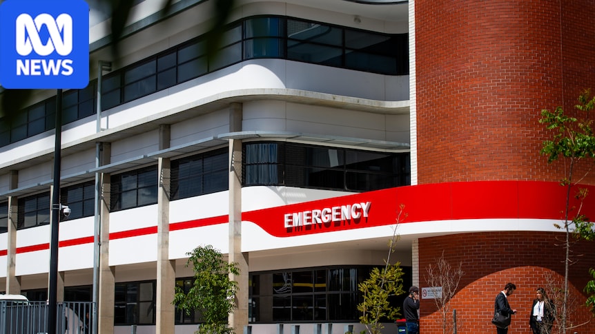 'Makeshift' treatment areas and long waits reported at Lyell McEwin Hospital ED, union says
